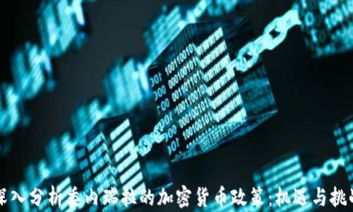 
深入分析委内瑞拉的加密货币政策：机遇与挑战