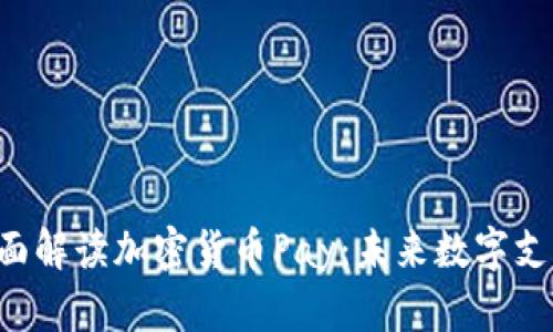 ziaoti全面解读加密货币Pay：未来数字支付的选择