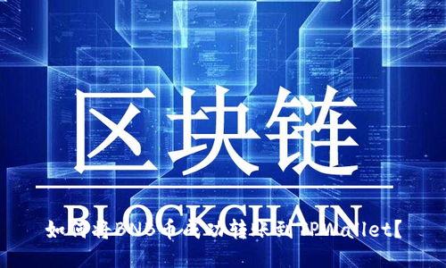 如何将BNB币成功转账到TPWallet？