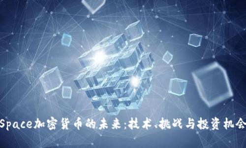 Space加密货币的未来：技术、挑战与投资机会