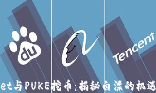 
TPWallet与PUKE挖币：揭秘白漂的机遇与挑战