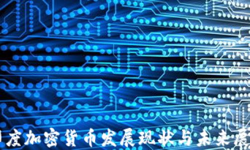 
印度加密货币发展现状与未来展望