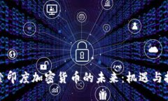 探索印度加密货币的未来