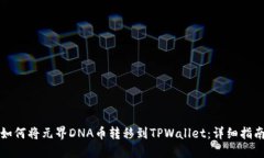 如何将元界DNA币转移到T
