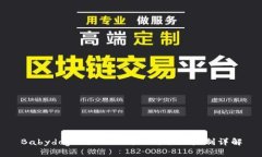 Babydoge与TP Wallet：分红机制