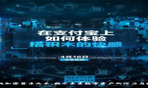 寻找加密货币之王：揭示未来数字资产的潜力与挑战