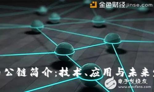 加密货币公链简介：技术、应用与未来发展趋势