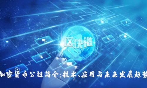 加密货币公链简介：技术、应用与未来发展趋势