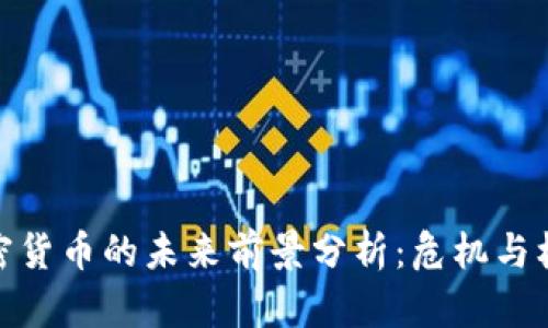 金融加密货币的未来前景分析：危机与机遇并存