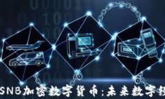 深入解析SNB加密数字货币