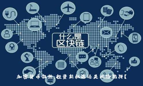 加密货币狂热：投资新机遇还是风险陷阱？