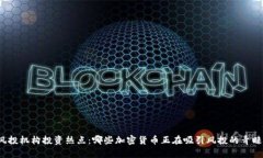 风投机构投资热点：哪些