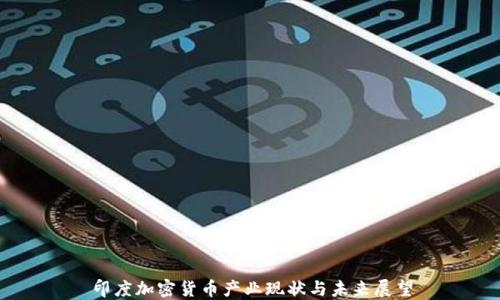 
印度加密货币产业现状与未来展望