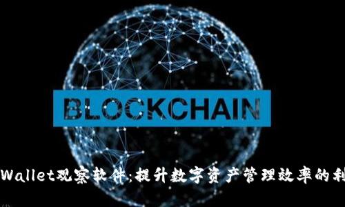 TPWallet观察软件：提升数字资产管理效率的利器