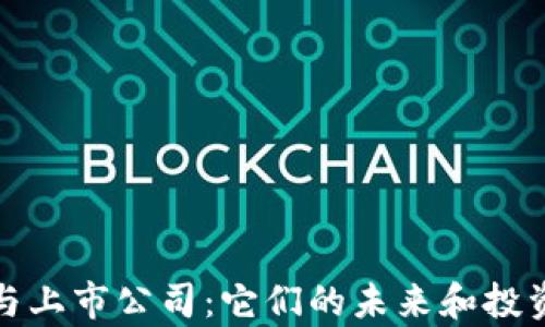 
加密货币与上市公司：它们的未来和投资机会分析