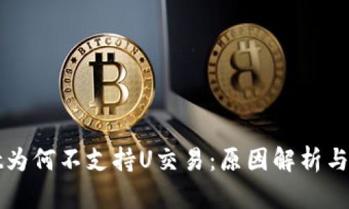 TPWallet为何不支持U交易：原因解析与解决方案