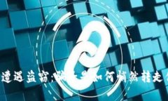 TPWallet币遭遇盗窃：骗子是