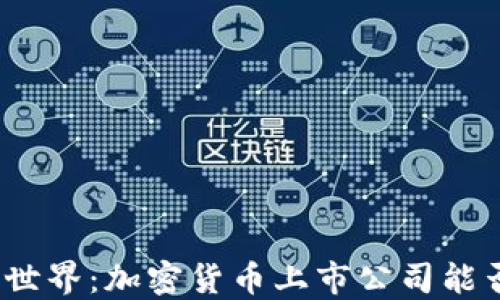 
依稀可见的暗黑世界：加密货币上市公司能否扭转金融命运？
