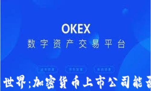 
依稀可见的暗黑世界：加密货币上市公司能否扭转金融命运？