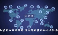 每日加密货币市场分析：