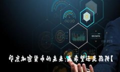 印度加密货币的未来：是
