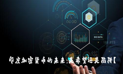 印度加密货币的未来：是希望还是陷阱？