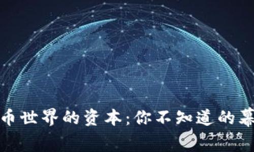 加密货币世界的资本：你不知道的幕后故事