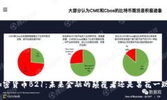 加密货币B21：未来金融的