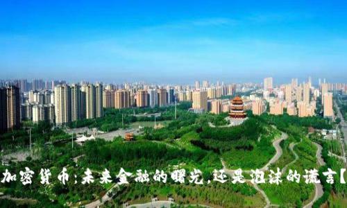 加密货币：未来金融的曙光，还是泡沫的谎言？