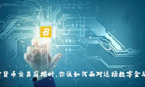 当加密货币交易崩塌时，你该如何面对这场数字金融风暴？