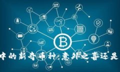 TPWallet中的新奇币种：意外之喜还是潜在风险？