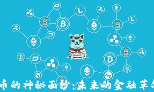
揭开ADx加密货币的神秘面纱：未来的金融革命还是一场泡沫？