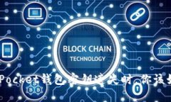 当TokenPocket钱包密钥遗失时，你该如何应对？