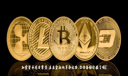 加密货币项目草案：未来金融的革命之路，你准备好迎接了吗？