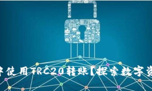 如何在TPWallet中使用TRC20转账？探索数字资产的无穷可能性！