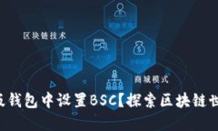 如何在TP电脑版钱包中设置