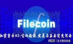 探秘加密货币MS：它的起源