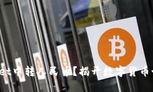 如何在TP Wallet中转人民币？揭开数字货币世界的神秘面纱
