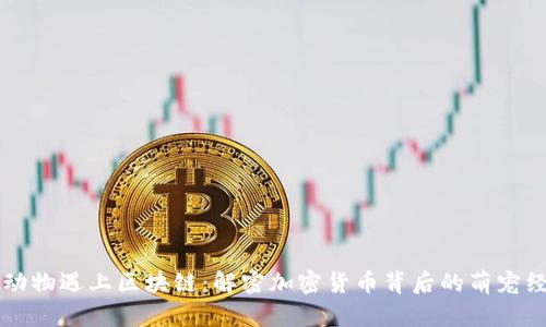 当动物遇上区块链：解密加密货币背后的萌宠经济