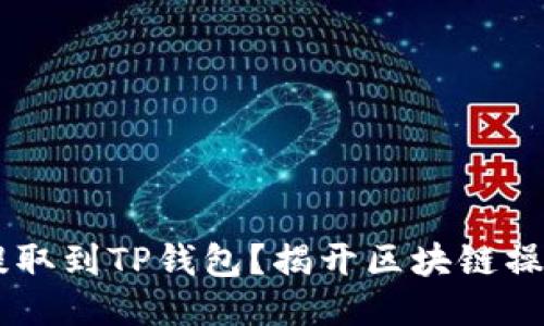 如何将SHIB提取到TP钱包？揭开区块链操作的神秘面纱