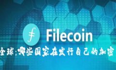 探索全球：哪些国家在发