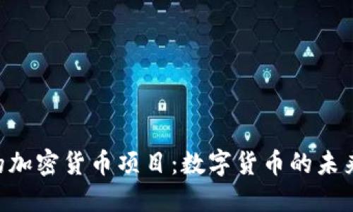 Facebook的加密货币项目：数字货币的未来还是泡沫？