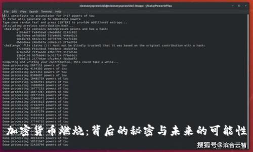 加密货币燃烧：背后的秘密与未来的可能性