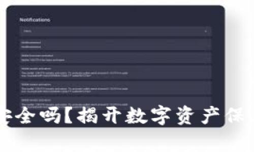 TPWallet安全吗？揭开数字资产保卫战的真相