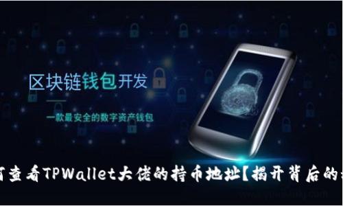 如何查看TPWallet大佬的持币地址？揭开背后的秘密