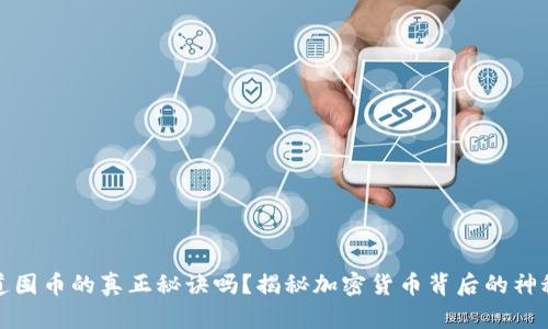 你知道囤币的真正秘诀吗？揭秘加密货币背后的神秘之旅