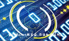 当TPWallet掉签后，你该如何
