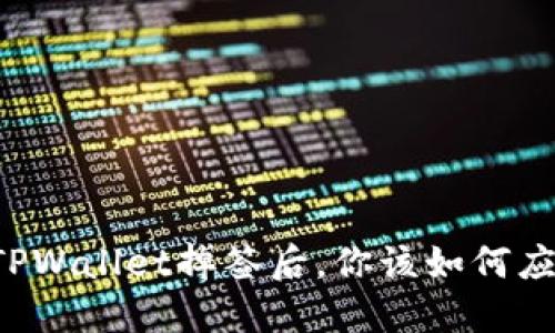 当TPWallet掉签后，你该如何应对？