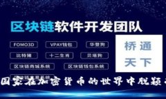 哪个国家在加密货币的世界中脱颖而出？