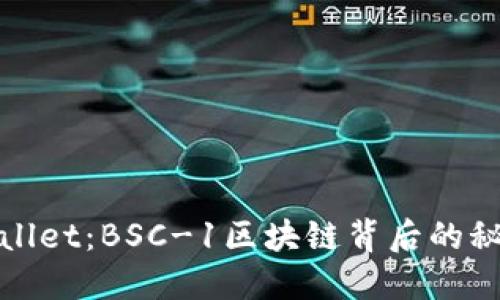 探秘TPWallet：BSC-1区块链背后的秘密与机遇